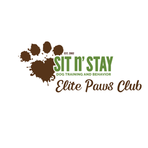 Team Page: Sit n Stay Elite Paws Club